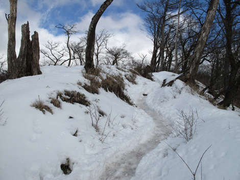 20170118hike (225)